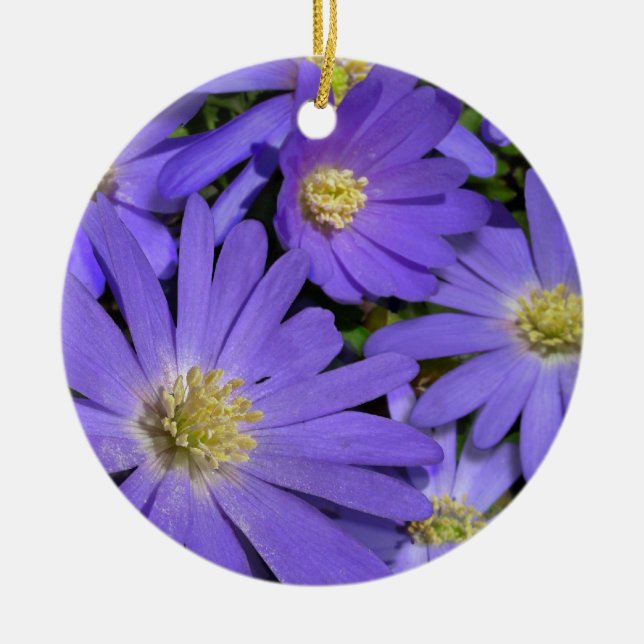 Daisy Dekoration för prydnadsblomma jul (Framsidan)
