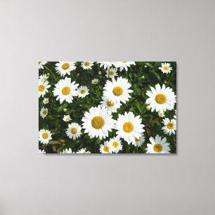Daisy Delight Canvastryck