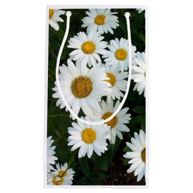 Daisy Delight Gift-fack (Framsidan)