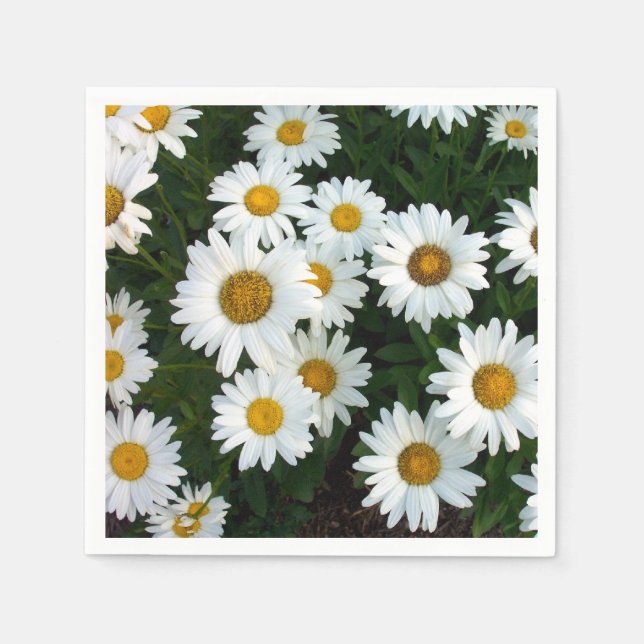 Daisy Delight Napkins (Papper) Pappersservett (Framsidan)