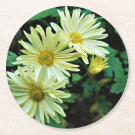Daisy Delight Underlägg
