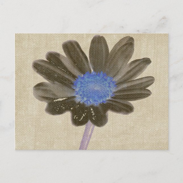 Daisy Digital Art-vykort Vykort (Framsida)