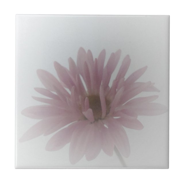 Daisy Dimma Tile Kakelplatta (Framsidan)