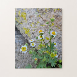 Daisy Dots of Delight Pussel, 28 cm x 36 cm, 252 s Pussel