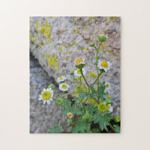 Daisy Dots of Delight Pussel, 28 cm x 36 cm, 252 s Pussel