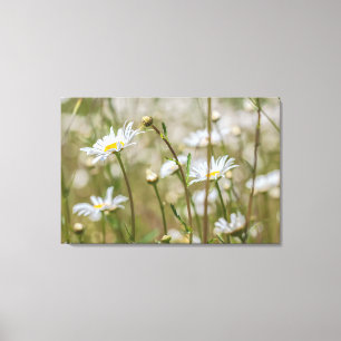 Daisy Fält Canvastryck
