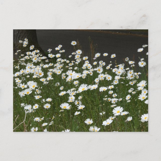 Daisy Fält DIY-vykort Helg Vykort (Framsida)