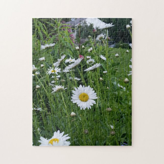 daisy fält drömmar pussel (Vertikal)