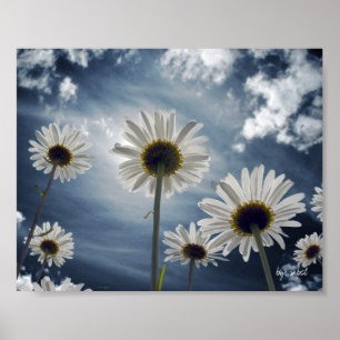 Daisy Fält Poster