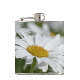 Daisy Fickplunta