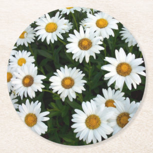 Daisy Field Pappersunderlägg Underlägg Papper Rund