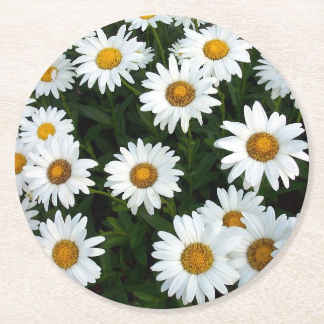 Daisy Field Pappersunderlägg Underlägg Papper Rund (Framsidan)