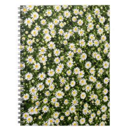 Daisy Field Spiral Notebook Anteckningsbok