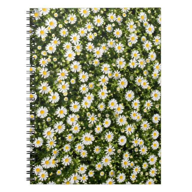Daisy Field Spiral Notebook Anteckningsbok (Framsidan)