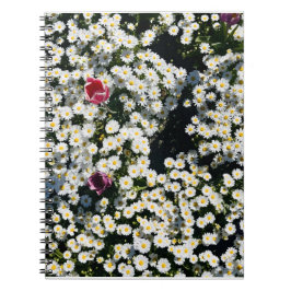 Daisy Field Spiral Notebook Anteckningsbok