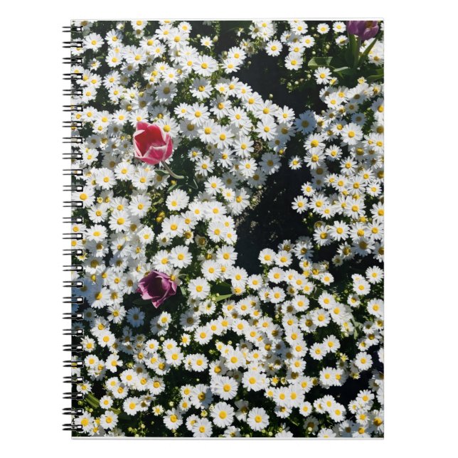Daisy Field Spiral Notebook Anteckningsbok (Framsidan)