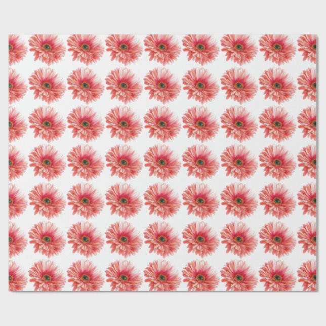 DAISY FLOWER beautiful watercolor daisies pink  Presentpapper (Platt)