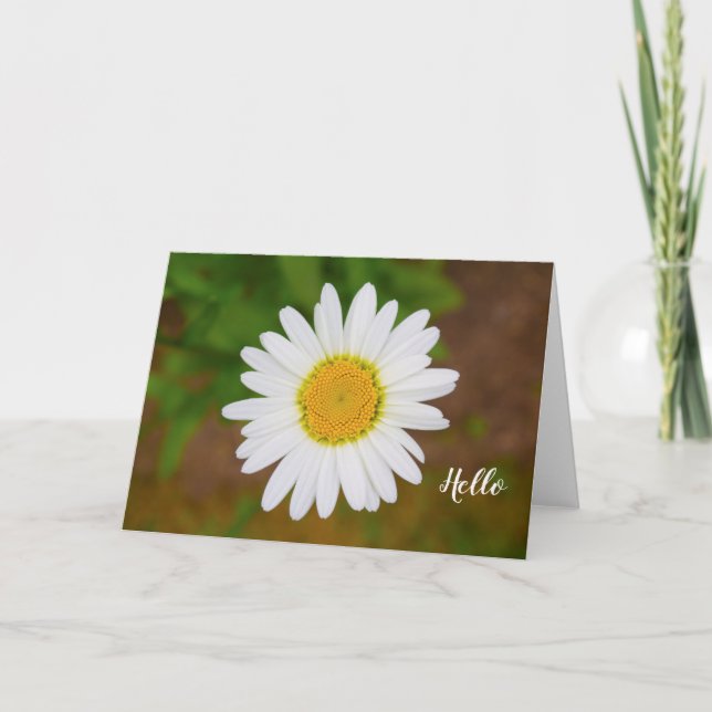 Daisy Flower Greeting Card Kort (Framsida)