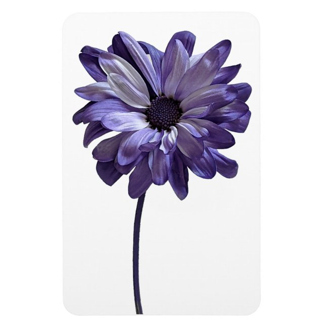 Daisy Flower Photo Magnet (Vertikal)