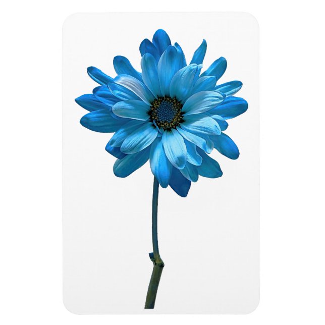Daisy Flower Photo Magnet (Vertikal)