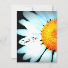 Daisy Flower Photo - tackkort Kort