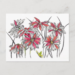 Daisy Flowers Botanical Art Bläck Teckning Vykort
