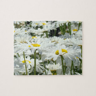 Daisy Flowers Garden Puzzle Roligt Time Puzzles Pussel