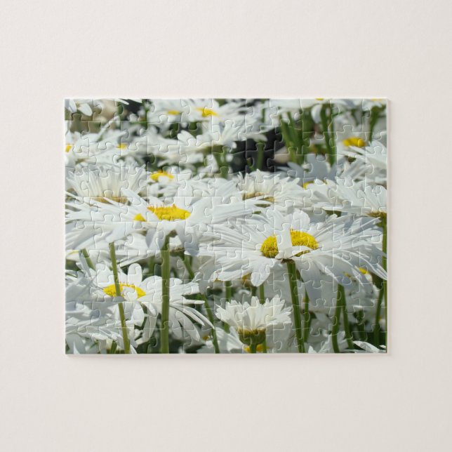 Daisy Flowers Garden Puzzle Roligt Time Puzzles Pussel (Horisontell)