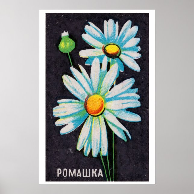 Daisy Flowers - Matchbox Print - Estetisk Vägg Poster (Framsidan)