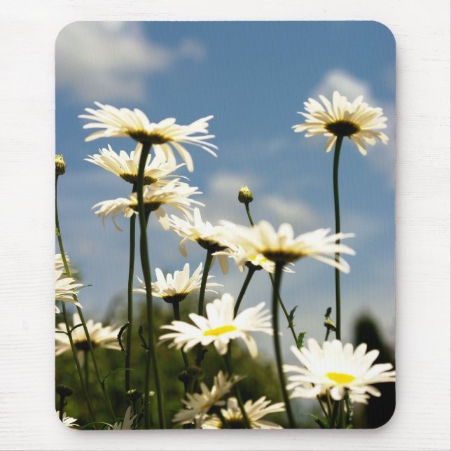 Daisy Flowers Mousepad Musmatta (Framsidan)
