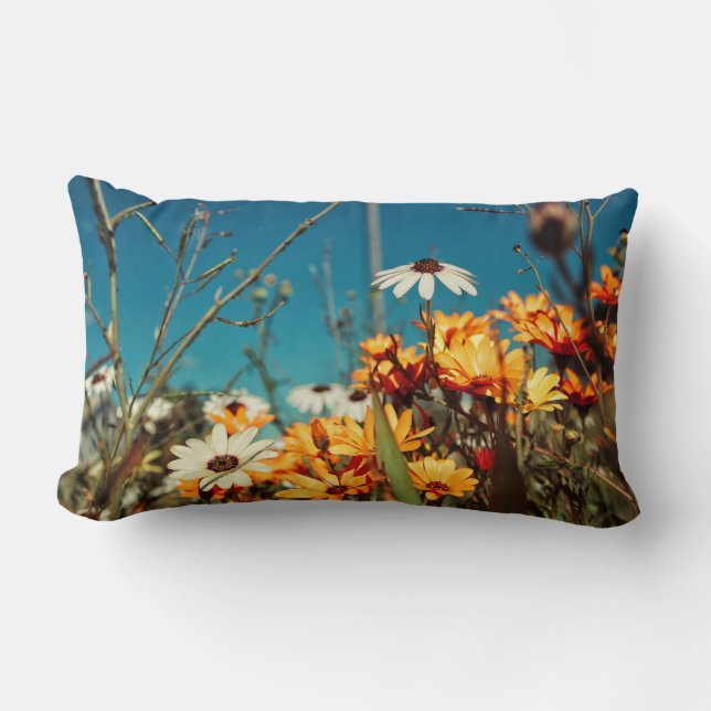 Daisy Flowers Orange Blue Cushion Dekorativ kudde (Framsida)