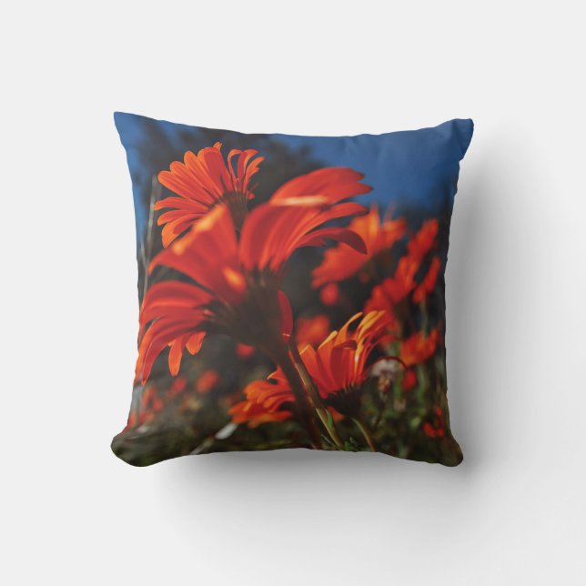Daisy Flowers Orange Blue Cushion Dekorativ kudde (Framsida)