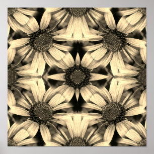 Daisy Flowers Spegel Sepia Abstrakt Poster