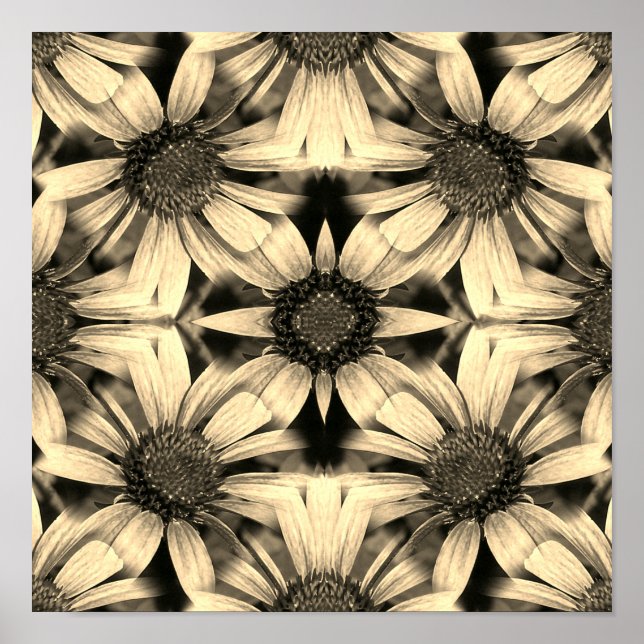 Daisy Flowers Spegel Sepia Abstrakt Poster (Framsidan)