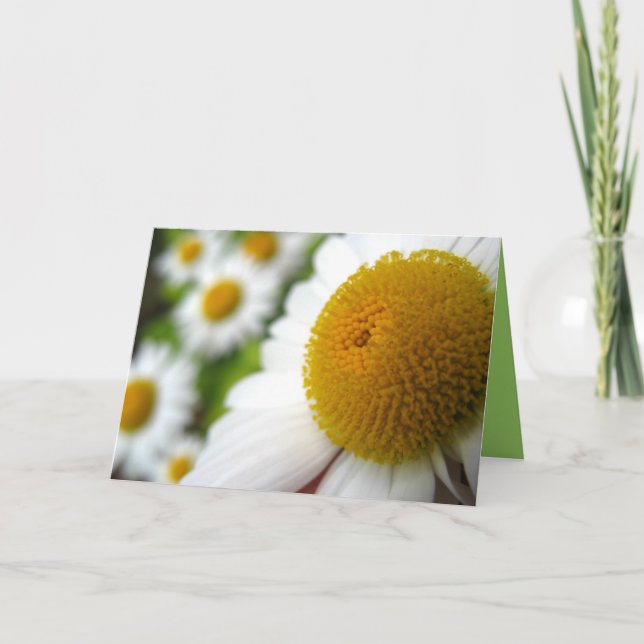 Daisy födelsedagskort kort (Framsida)