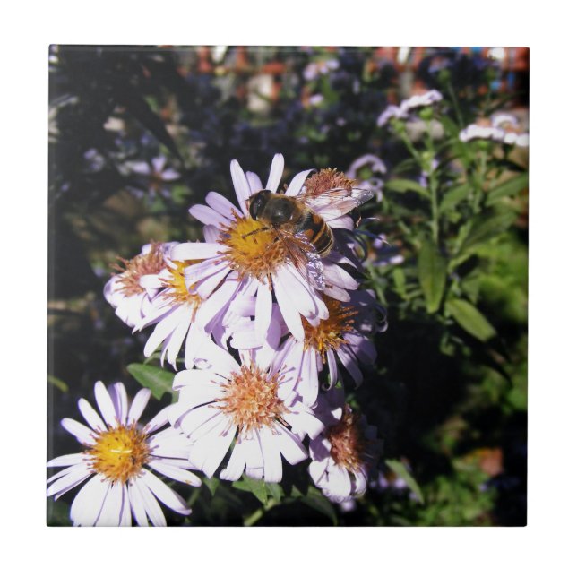 Daisy för arbetsbin kakelplatta (Framsidan)