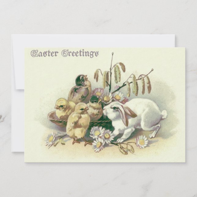 Daisy för Chick av påskhare Inbjudningar (Framsida)