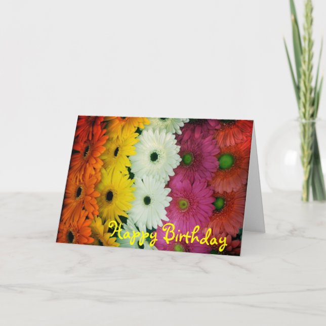 Daisy för Gerbera för födelsedagcard~ färgrik Kort (Framsida)