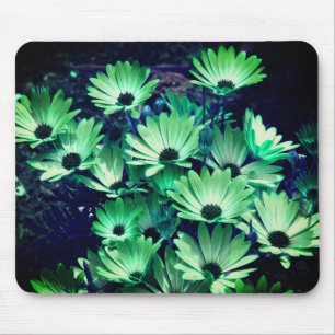 Daisy för Grönt av abstrakt - blomma bild Musmatta