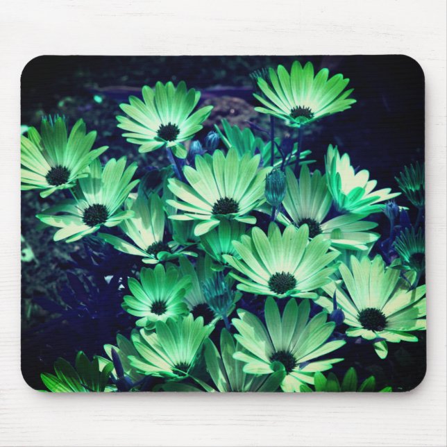 Daisy för Grönt av abstrakt - blomma bild Musmatta (Framsidan)