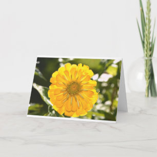 daisy för gult av gult-blommigt-gult kort