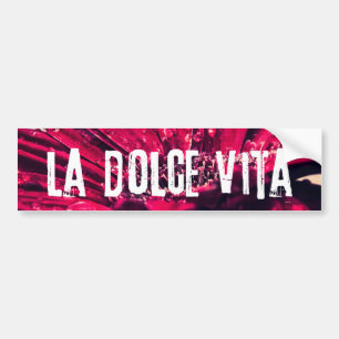 Daisy för LaDolce Vita Gerbera Bildekal