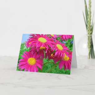 Daisy för shock rosa tack kort