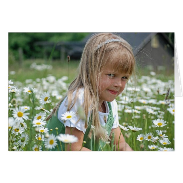 Daisy för vild OBS kort (Framsidan Horizontal)