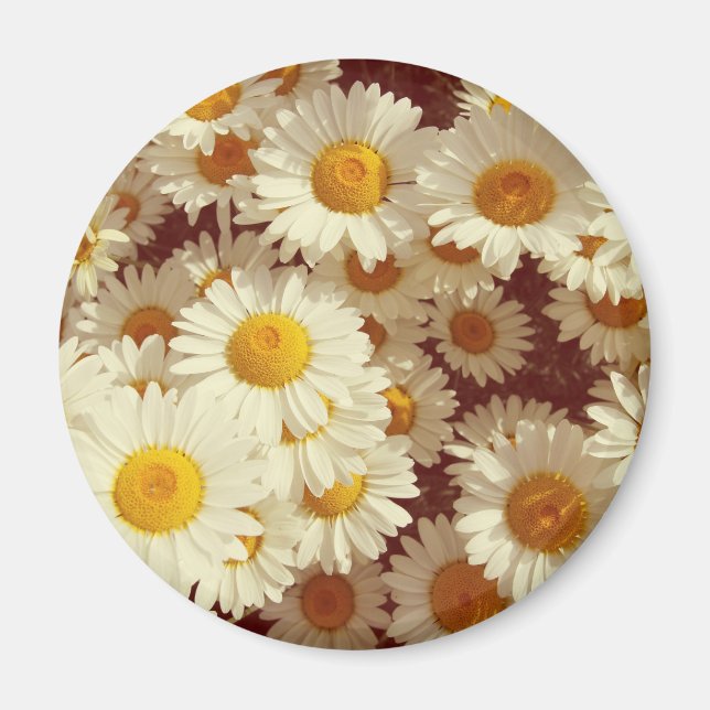 daisy för vintage magnet (Framsidan)