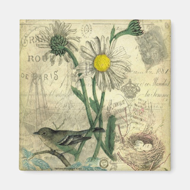 daisy för vintage magnet (Framsidan)