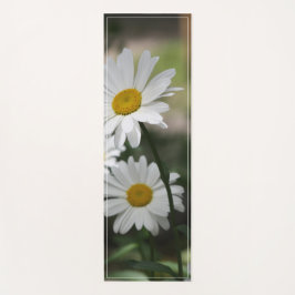 Daisy för vit blodblåsning