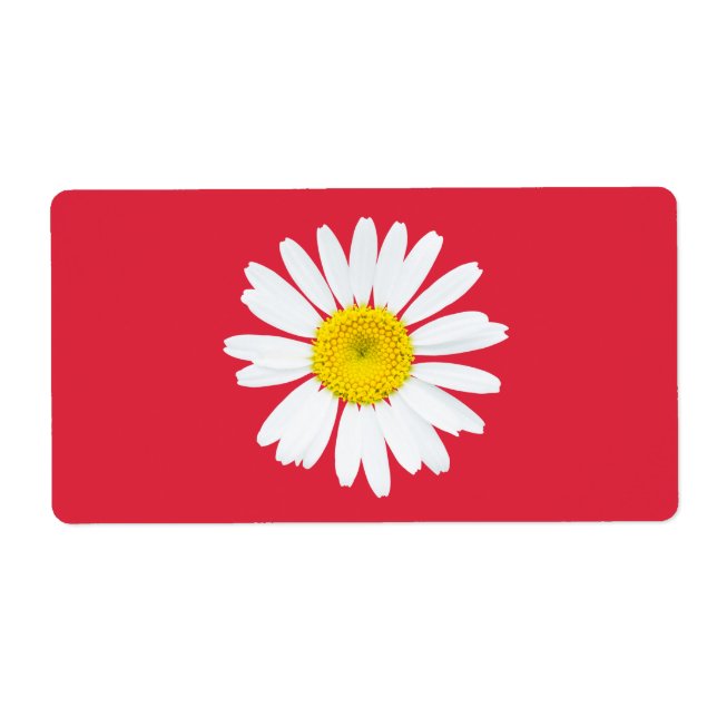 Daisy Fraktsedel (Framsidan)