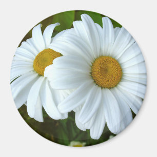 Daisy Fridge Magnet Cheerful Flower Daisy Gifts