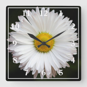 Daisy Fyrkantig Klocka
